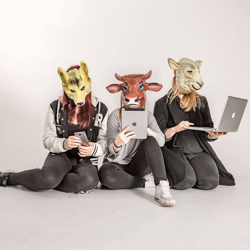 Drei maskierte Frauen sehen sitzend in ein Tablet, Smartphone und Laptop.